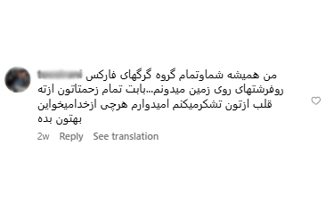 نظر زدبورسی‌ها 